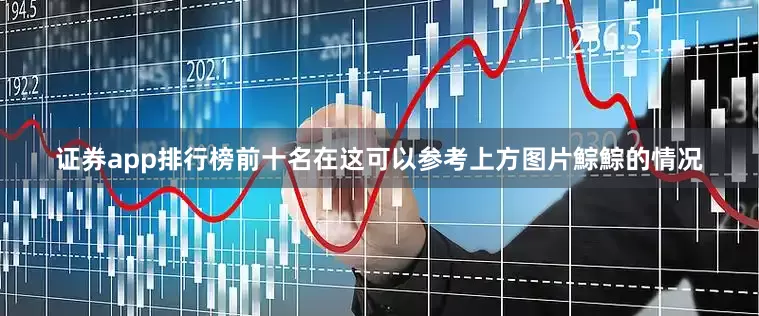证券app排行榜前十名在这可以参考上方图片鯮鯮的情况
